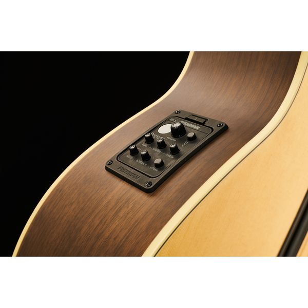 Warwick Alien Deluxe 4 NT