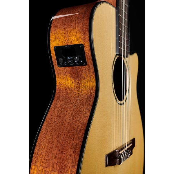 Ibanez AEG50N-NT Nylon