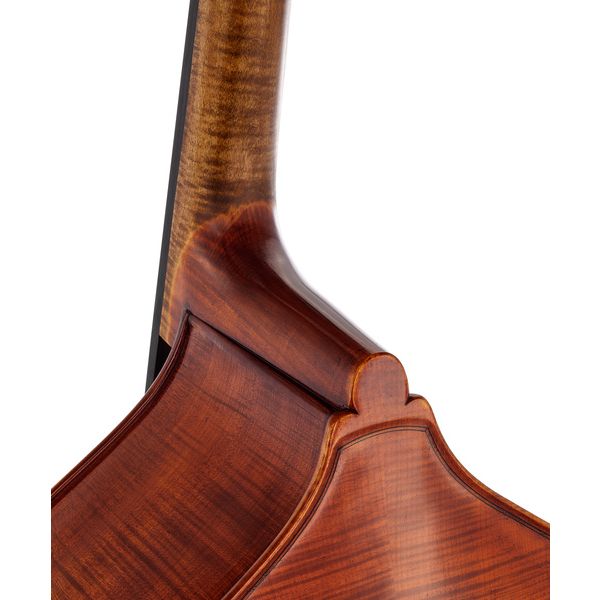 Scala Vilagio Double Bass Gamba 5-Str. IB