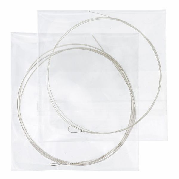 Dragao Guitarra Portuguesa Coimbra