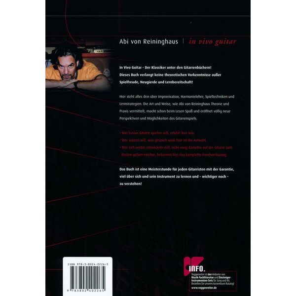 Voggenreiter In Vivo Guitar