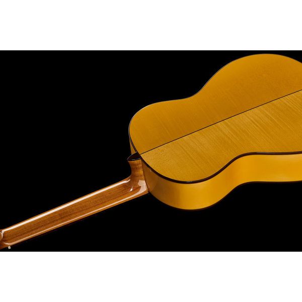 Alhambra 3F-G Flamenco incl.Gig Bag