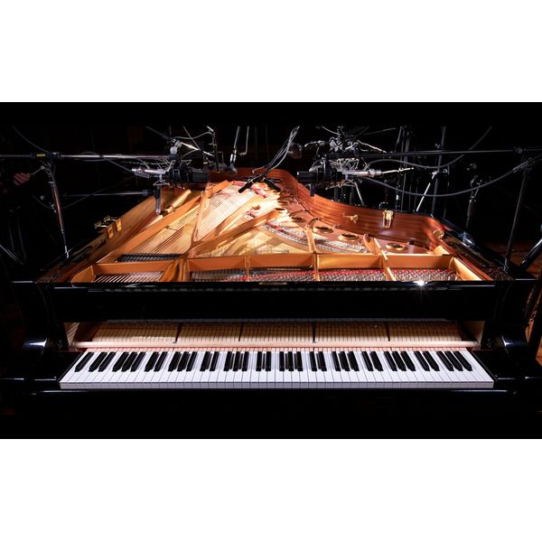 Native Instruments Noire