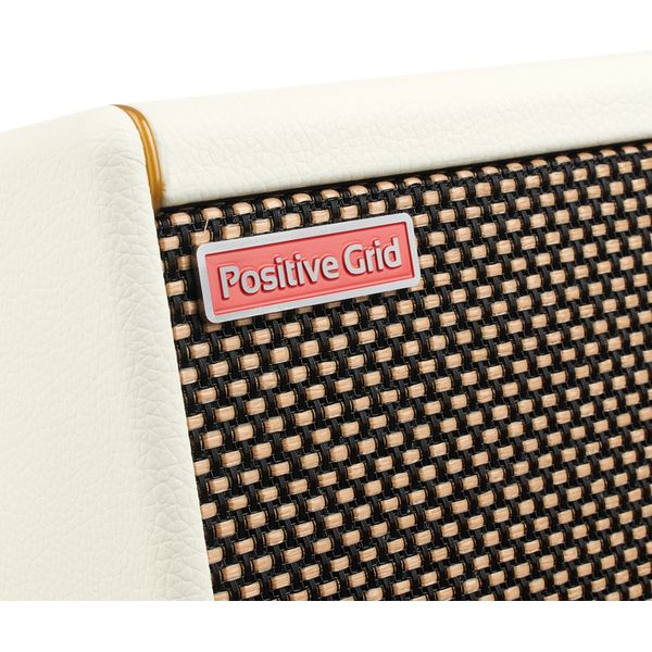 Positive Grid Spark Mini PW