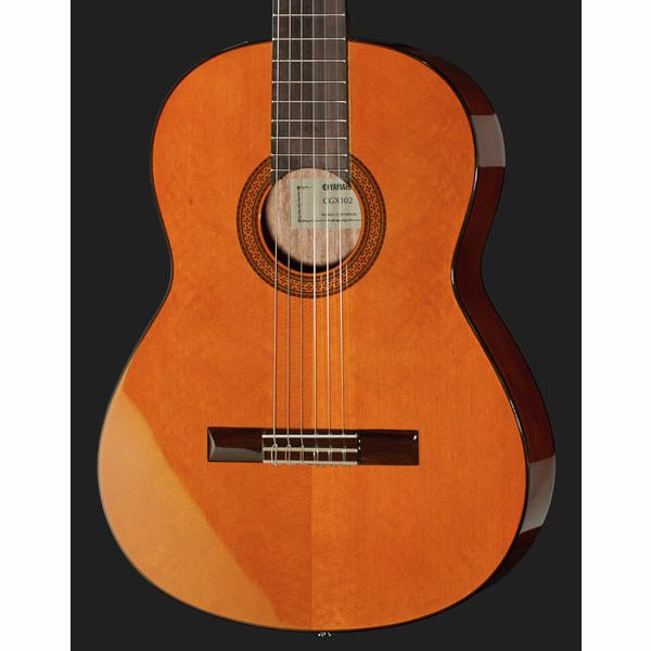 Yamaha CGX 102