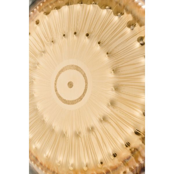RealGong 24"/60cm Planet Gong Sun