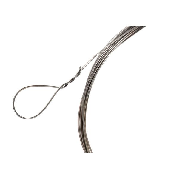 Thomann Nataraj Saraswati Veena Str.