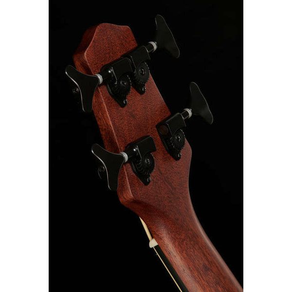 Gold Tone ME-BASS/Fretless