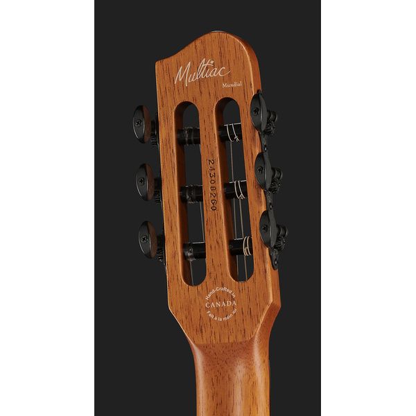 Godin Multiac Mundial Kanyon Burst