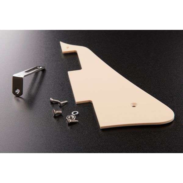 Gibson Les Paul Slash Standard GT