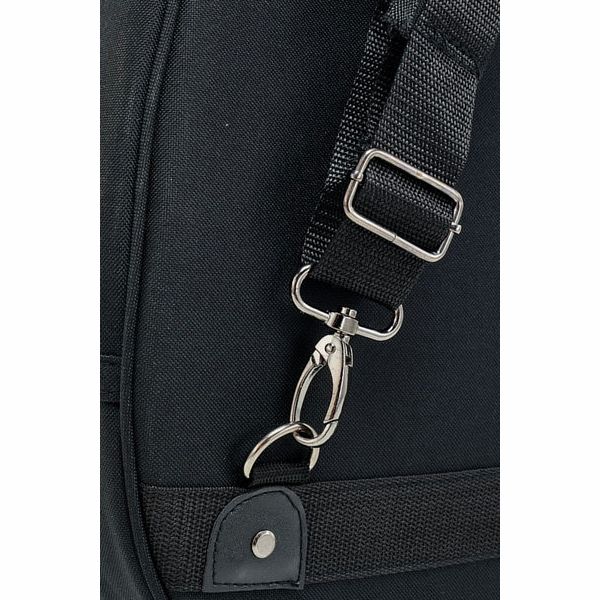 Alfred Stingl by Höfner AS90/09-C Cello Bag 4/4