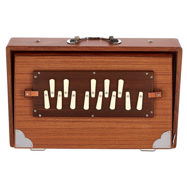 Thomann Nataraj Prof. Shruti C-C Med.