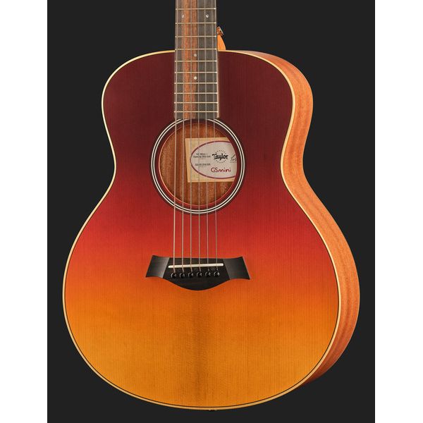 Taylor GS Mini-e Special Edition SF
