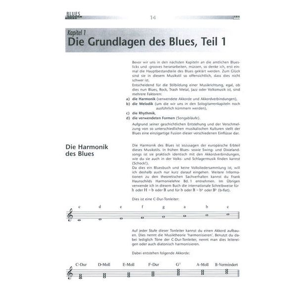 AMA Verlag Blues Guitar Rules