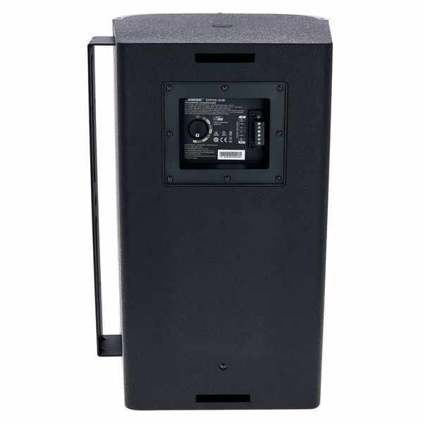 Bose Professional DesignMax DM10S-SUB black