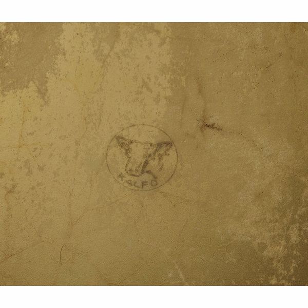 Thomann BDTV28/25P Thomann Concert