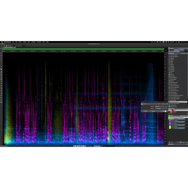 Steinberg SpectraLayers Elements 12
