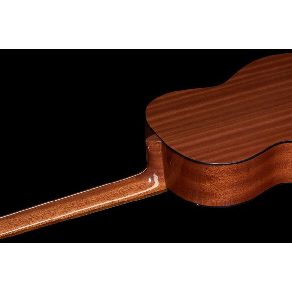 Gewa Pro Arte GC210A