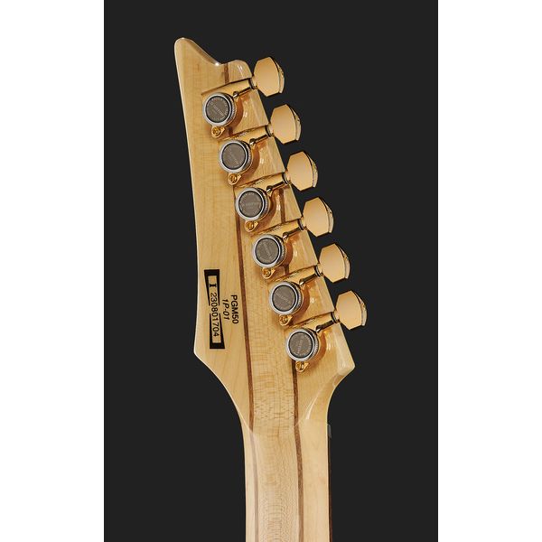 Ibanez PGM50-BK