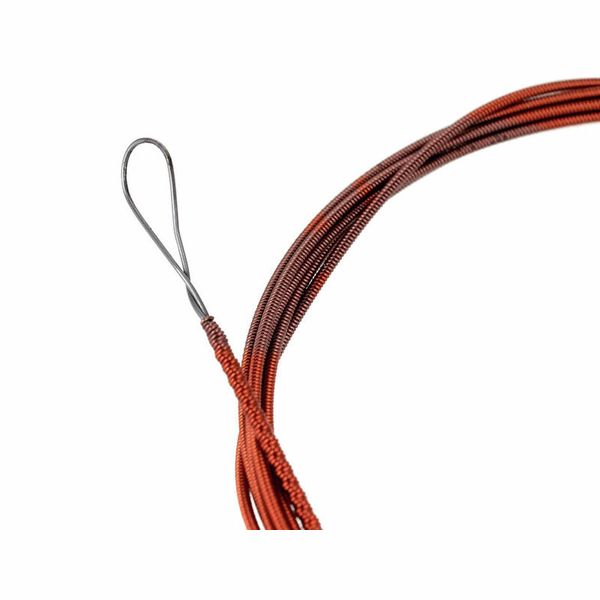 Thomann Nataraj Saraswati Veena Str.