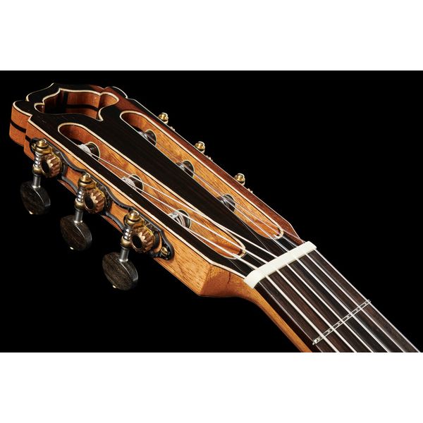 Hanika Fusion PC w/Pickup