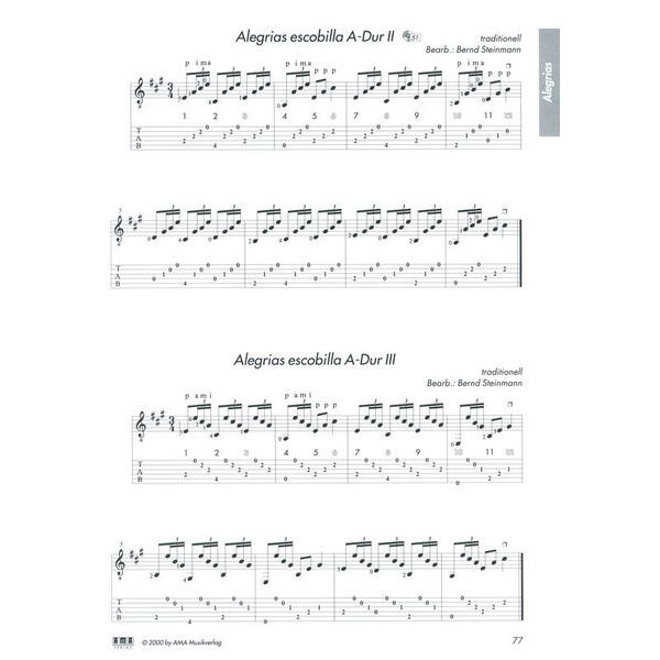 AMA Verlag Die Flamencogitarre