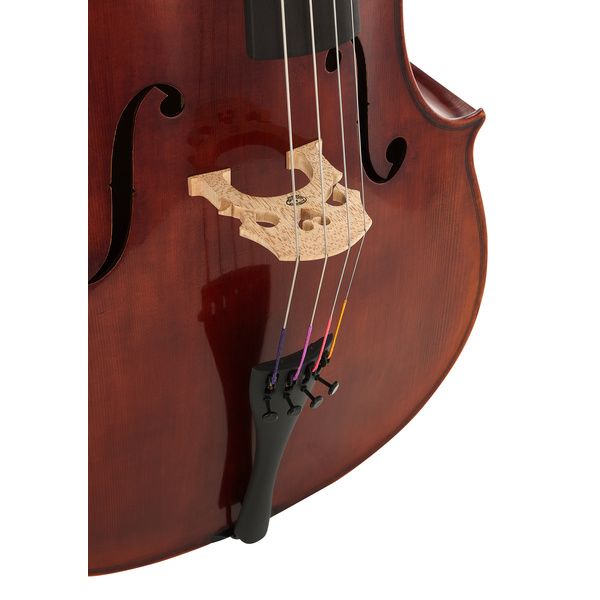 Gewa Maestro 31 Antique Cello 4/4