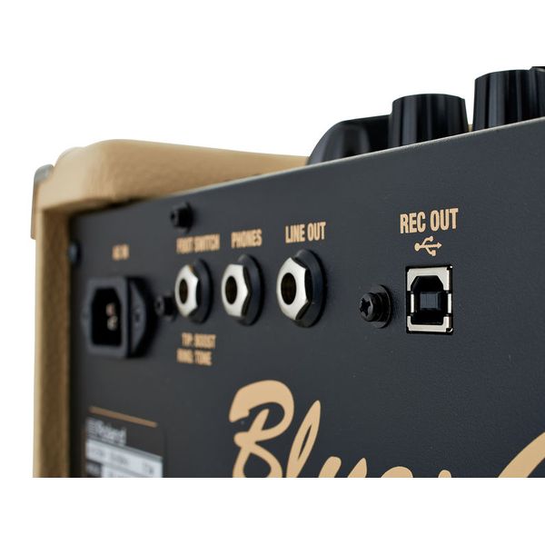 Roland Blues Cube Hot VB