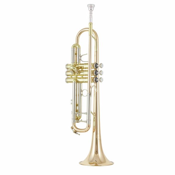 B&S 3137 G-L Challenger I GM