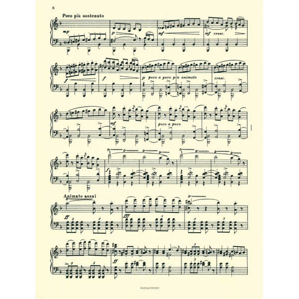 Breitkopf & Hrtel Mussorgski Nacht auf dem Berge