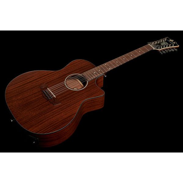 DAngelico Premier Fulton LS