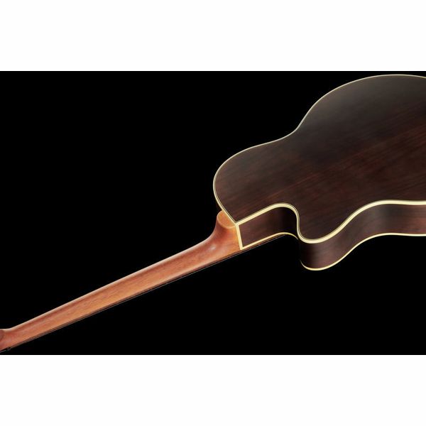 Warwick Alien Deluxe 4 Hybrid Thinline