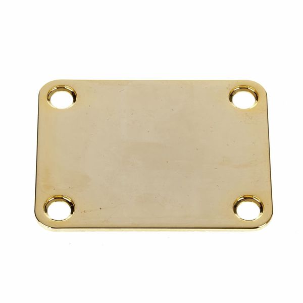 Harley Benton Parts HN001GD