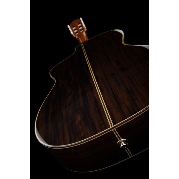 Takamine EC132SC w/Softcase