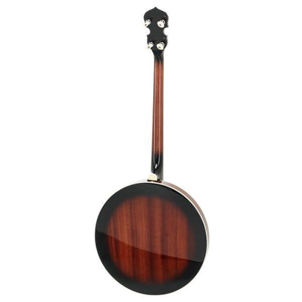 Gold Tone TS-250 Tenor Banjo w/Case