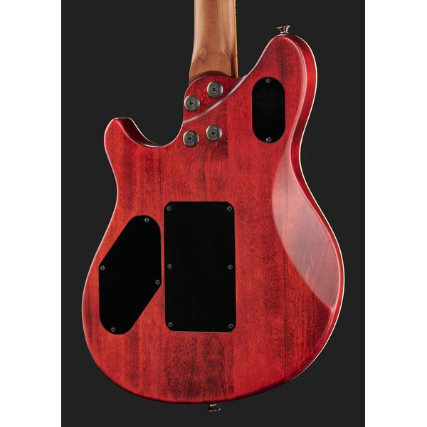 Evh Wolfgang WG Std Exotic BW