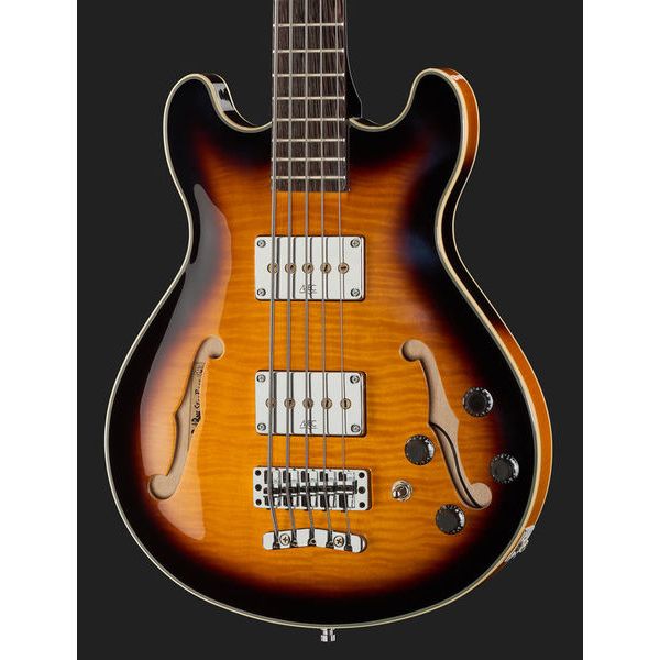 Warwick RB Star Bass 5 VSTHP