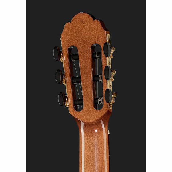 Gewa Pro Arte GC100A