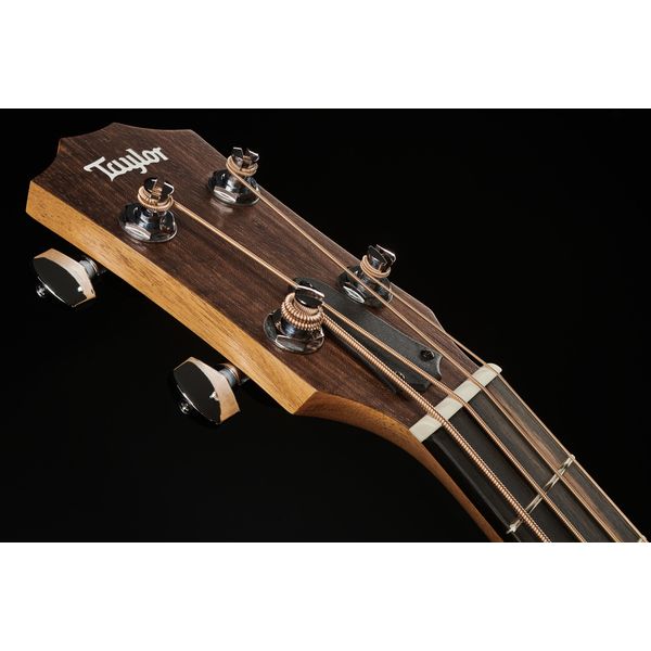 Taylor GS Mini-e Bass