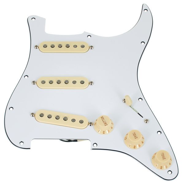Fender PWPG 59 Strat RWRP WBW