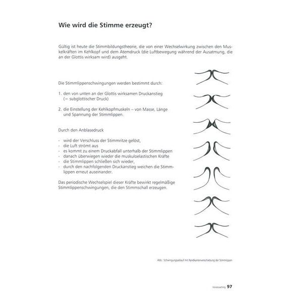 Voggenreiter  Voicecoaching