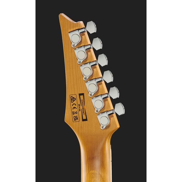 Ibanez GRG220PA1-BKB