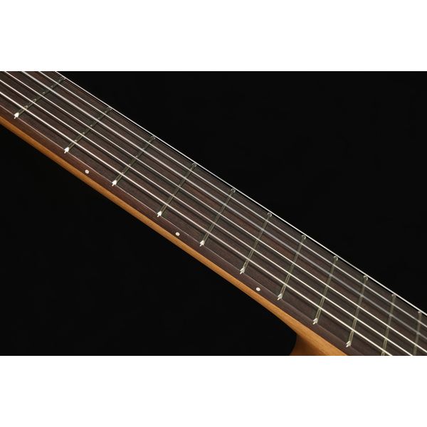 Höfner Meister Series HM65-F-CE