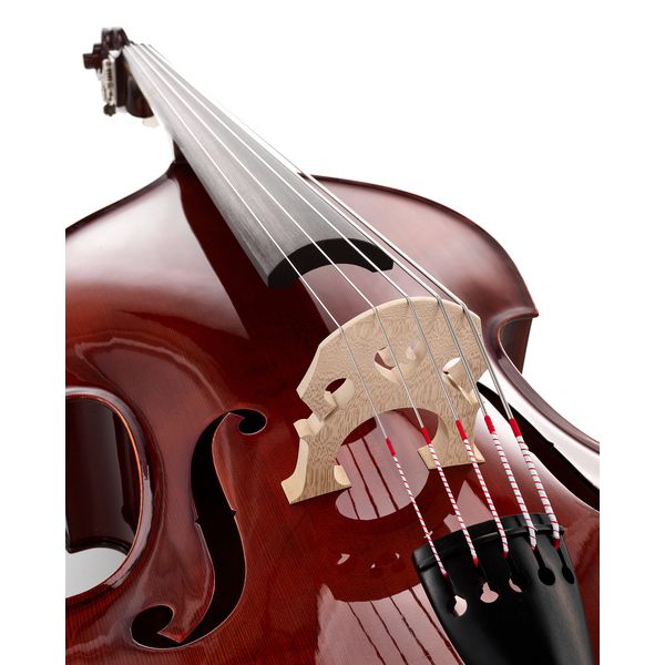 Thomann 44AS/5str/LH 3/4 Europe Bass