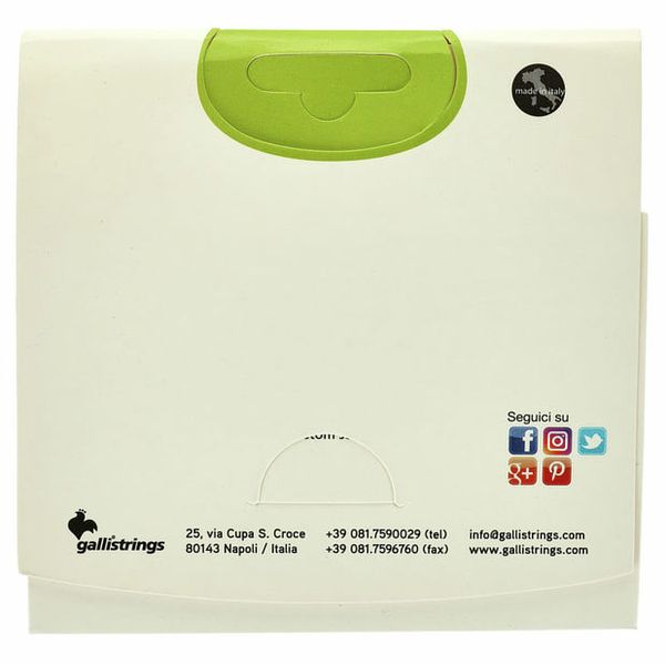 Galli Strings FG005 Rajao Strings