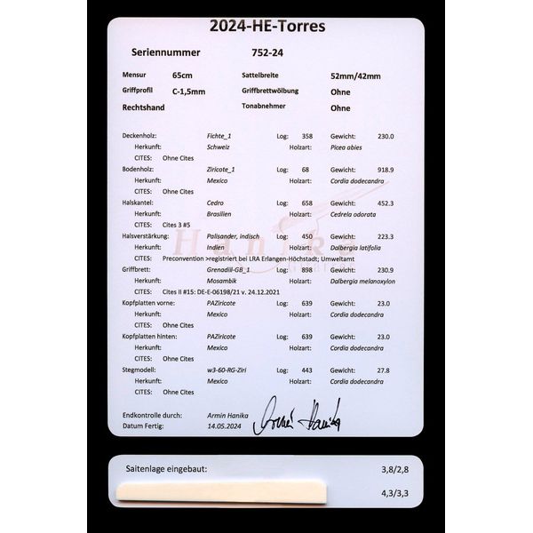 Hanika HE-Torres Ziricote/Spruce