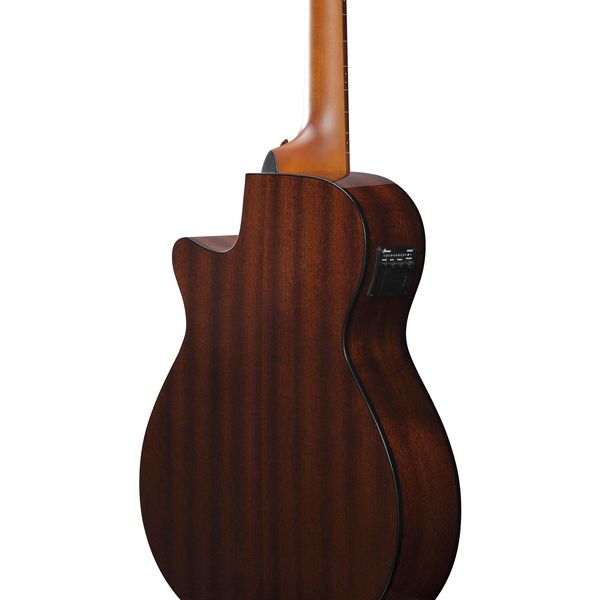 Ibanez AEGB24FE-MHS Fretless