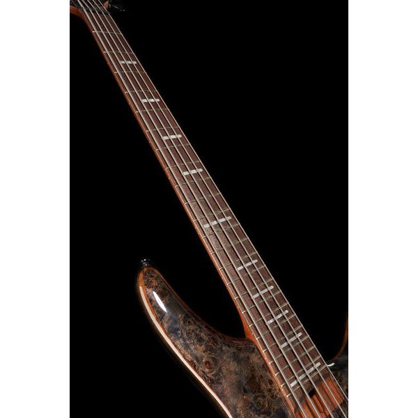 Ibanez SRMS805-DTW Workshop