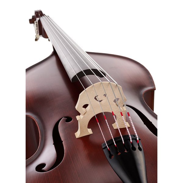 Thomann 22AS/5str/LH 3/4 Europe Bass