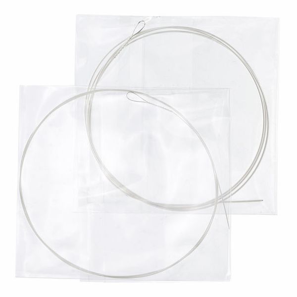 Dragao Guitarra Portuguesa Lisboa S